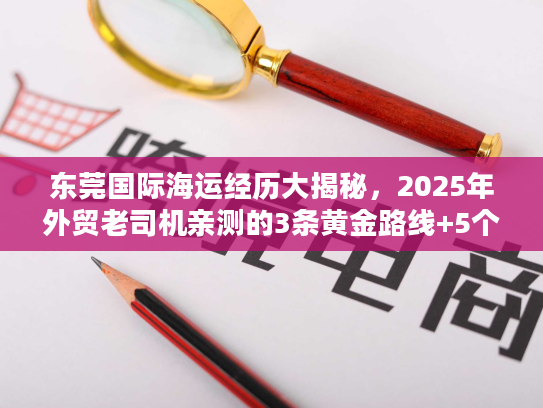 东莞国际海运经历大揭秘，2025年外贸老司机亲测的3条黄金路线+5个避坑要点