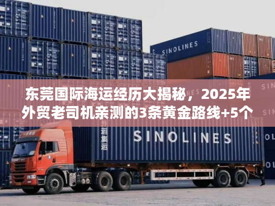 东莞国际海运经历大揭秘，2025年外贸老司机亲测的3条黄金路线+5个避坑要点