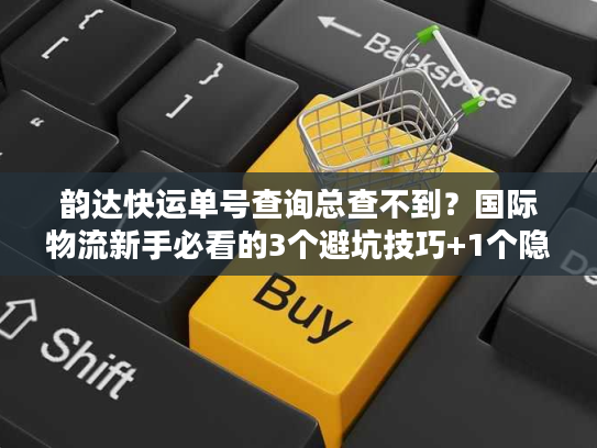 韵达快运单号查询总查不到？国际物流新手必看的3个避坑技巧+1个隐藏工具