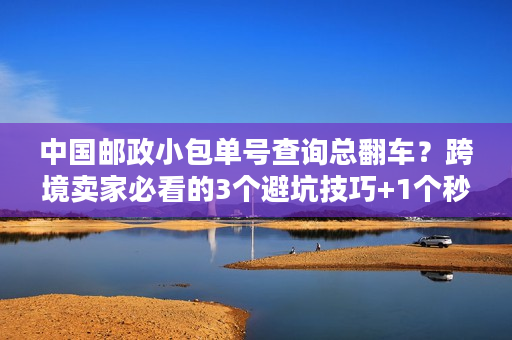 中国邮政小包单号查询总翻车？跨境卖家必看的3个避坑技巧+1个秒查工具