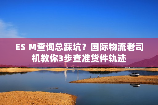 ES M查询总踩坑？国际物流老司机教你3步查准货件轨迹