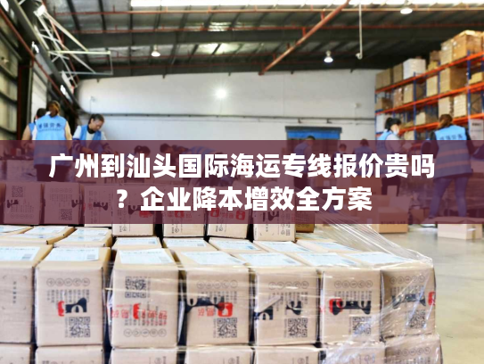 广州到汕头国际海运专线报价贵吗？企业降本增效全方案