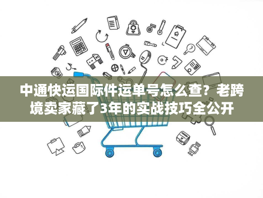 中通快运国际件运单号怎么查？老跨境卖家藏了3年的实战技巧全公开