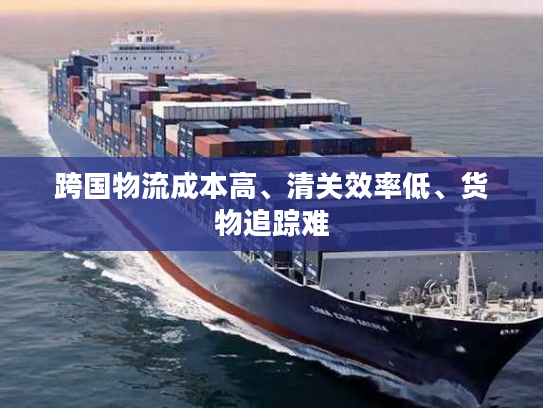 跨国物流成本高、清关效率低、货物追踪难