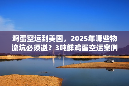 鸡蛋空运到美国，2025年哪些物流坑必须避？3吨鲜鸡蛋空运案例拆解