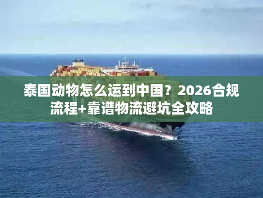 泰国动物怎么运到中国？2026合规流程+靠谱物流避坑全攻略