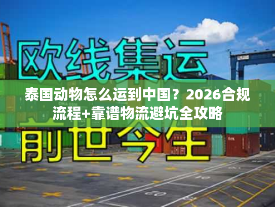 泰国动物怎么运到中国？2026合规流程+靠谱物流避坑全攻略