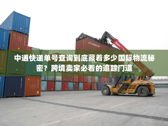 中通快递单号查询到底藏着多少国际物流秘密？跨境卖家必看的追踪门道