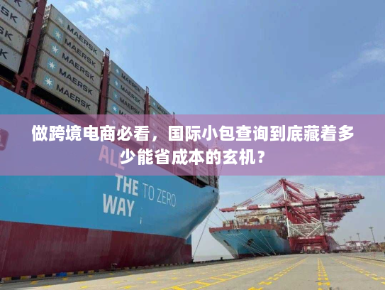 做跨境电商必看，国际小包查询到底藏着多少能省成本的玄机？