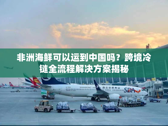 非洲海鲜可以运到中国吗？跨境冷链全流程解决方案揭秘