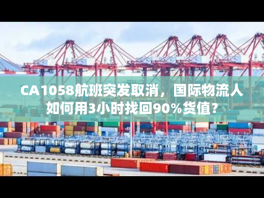 CA1058航班突发取消，国际物流人如何用3小时找回90%货值？