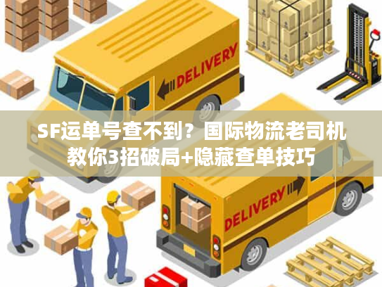 SF运单号查不到？国际物流老司机教你3招破局+隐藏查单技巧