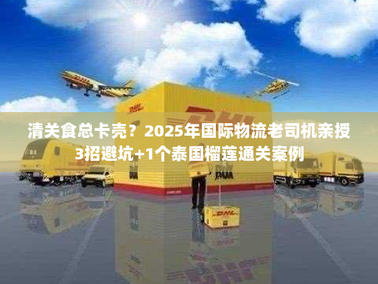 清关食总卡壳？2025年国际物流老司机亲授3招避坑+1个泰国榴莲通关案例