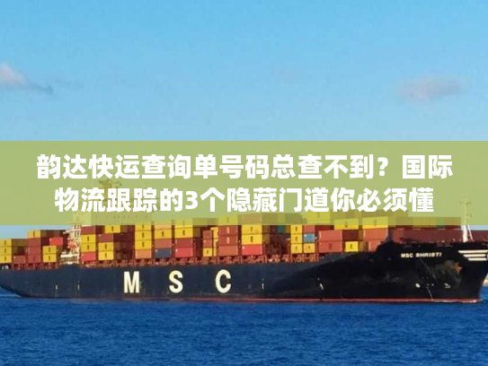 韵达快运查询单号码总查不到？国际物流跟踪的3个隐藏门道你必须懂
