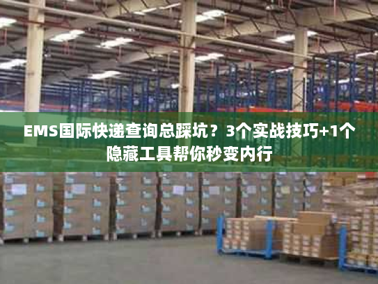 EMS国际快递查询总踩坑？3个实战技巧+1个隐藏工具帮你秒变内行