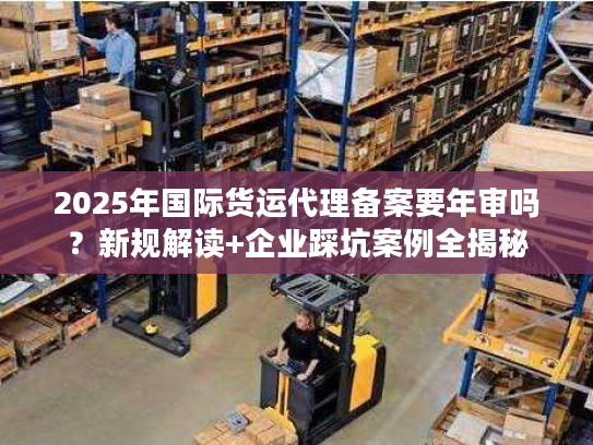 2025年国际货运代理备案要年审吗？新规解读+企业踩坑案例全揭秘