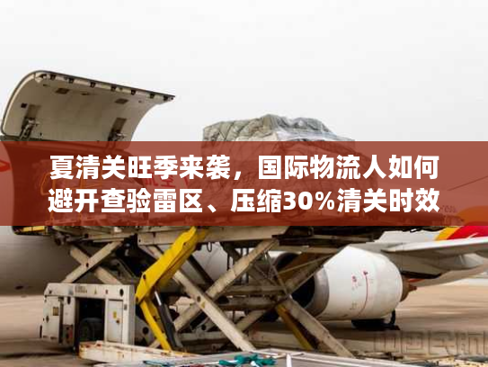 夏清关旺季来袭，国际物流人如何避开查验雷区、压缩30%清关时效？