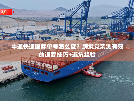 中通快递国际单号怎么查？跨境党亲测有效的追踪技巧+避坑经验