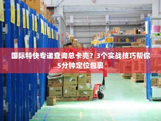 国际特快专递查询总卡壳？3个实战技巧帮你5分钟定位包裹