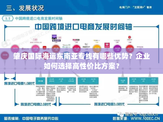 肇庆国际海运东南亚专线有哪些优势？企业如何选择高性价比方案？