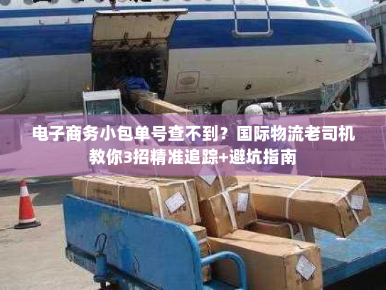 电子商务小包单号查不到？国际物流老司机教你3招精准追踪+避坑指南