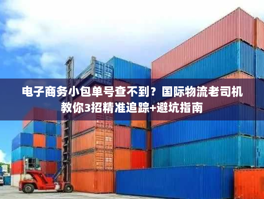 电子商务小包单号查不到？国际物流老司机教你3招精准追踪+避坑指南