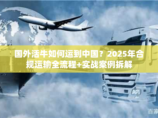 国外活牛如何运到中国？2025年合规运输全流程+实战案例拆解