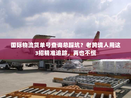 国际物流货单号查询总踩坑?老跨境人用这3招精准追踪,再也不慌 国际物流货单号查询总踩坑?老跨境人用这3招精准追踪,再也不慌