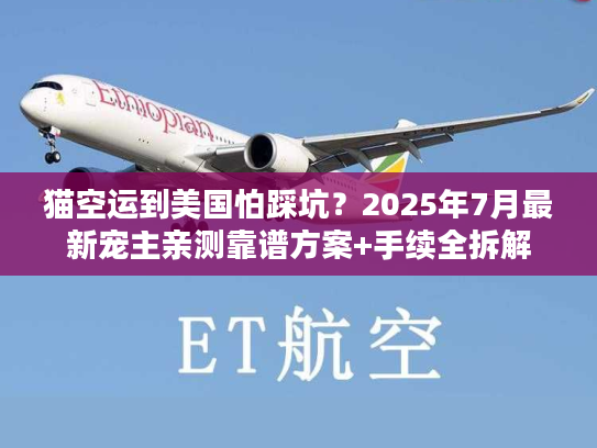 猫空运到美国怕踩坑？2025年7月最新宠主亲测靠谱方案+手续全拆解