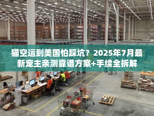猫空运到美国怕踩坑？2025年7月最新宠主亲测靠谱方案+手续全拆解