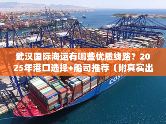 武汉国际海运有哪些优质线路？2025年港口选择+船司推荐（附真实出货案例）