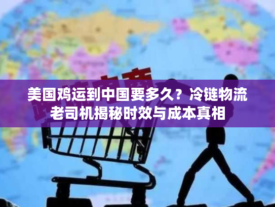 美国鸡运到中国要多久？冷链物流老司机揭秘时效与成本真相