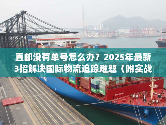 直邮没有单号怎么办？2025年最新3招解决国际物流追踪难题（附实战案例）
