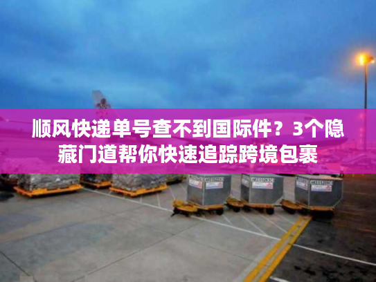 顺风快递单号查不到国际件？3个隐藏门道帮你快速追踪跨境包裹
