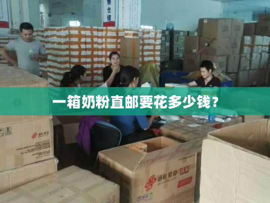 一箱奶粉直邮要花多少钱? 一箱奶粉直邮要花多少钱?