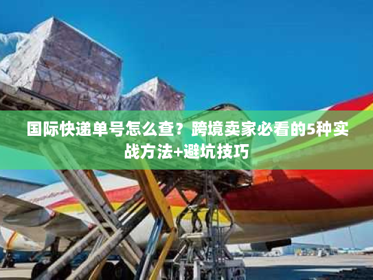 国际快递单号怎么查？跨境卖家必看的5种实战方法+避坑技巧
