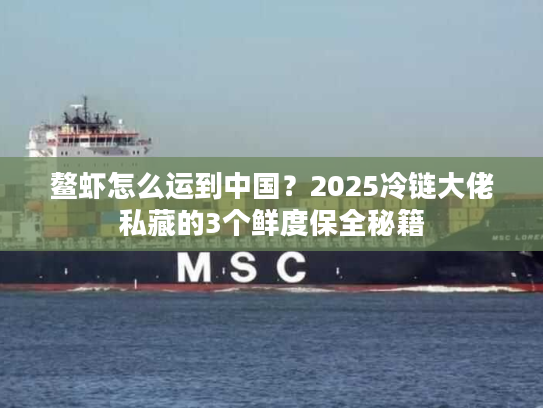 鳌虾怎么运到中国？2025冷链大佬私藏的3个鲜度保全秘籍