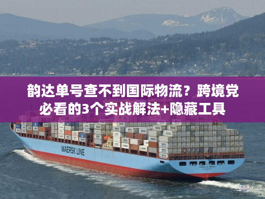 韵达单号查不到国际物流？跨境党必看的3个实战解法+隐藏工具