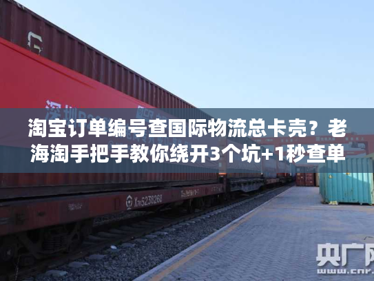 淘宝订单编号查国际物流总卡壳？老海淘手把手教你绕开3个坑+1秒查单技巧