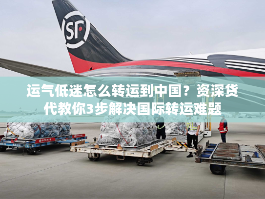 运气低迷怎么转运到中国？资深货代教你3步解决国际转运难题