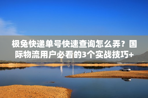 极兔快递单号快速查询怎么弄？国际物流用户必看的3个实战技巧+1个隐藏工具