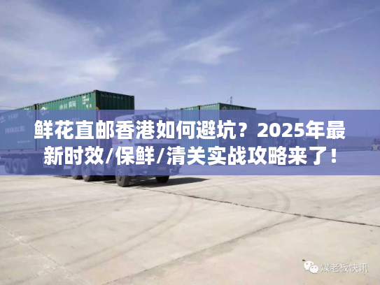 鲜花直邮香港如何避坑？2025年最新时效/保鲜/清关实战攻略来了！