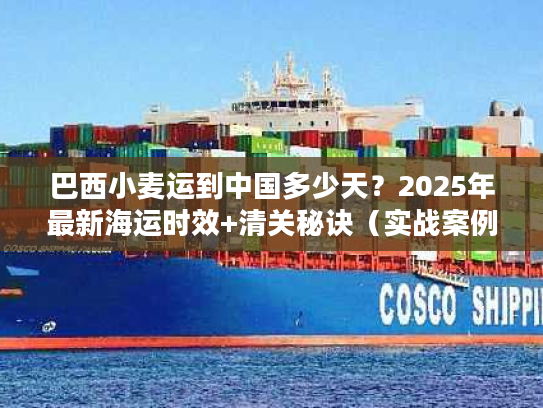 巴西小麦运到中国多少天？2025年最新海运时效+清关秘诀（实战案例揭秘）