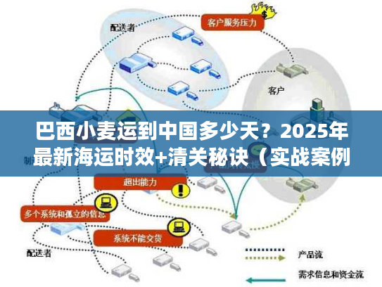 巴西小麦运到中国多少天？2025年最新海运时效+清关秘诀（实战案例揭秘）