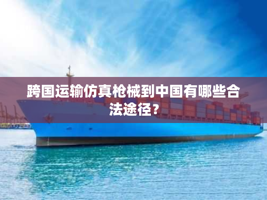 跨国运输仿真枪械到中国有哪些合法途径？