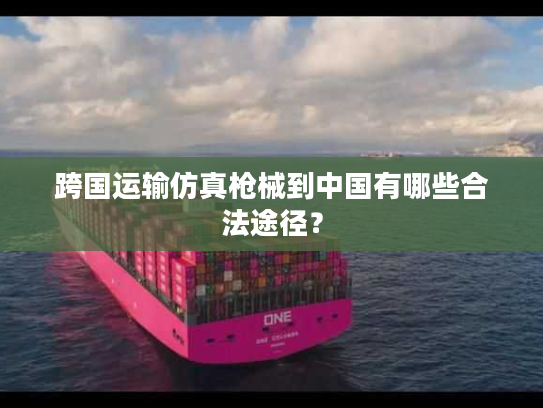 跨国运输仿真枪械到中国有哪些合法途径？