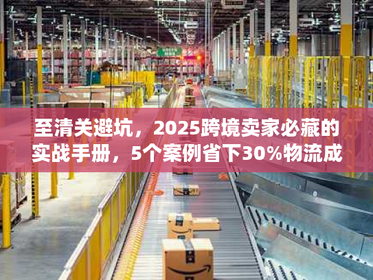至清关避坑，2025跨境卖家必藏的实战手册，5个案例省下30%物流成本？