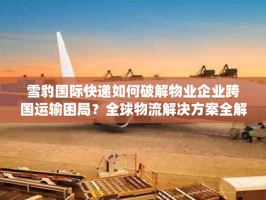 雪豹国际快递如何破解物业企业跨国运输困局？全球物流解决方案全解析