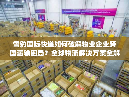 雪豹国际快递如何破解物业企业跨国运输困局？全球物流解决方案全解析