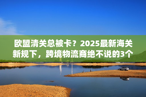 欧盟清关总被卡？2025最新海关新规下，跨境物流商绝不说的3个通关秘诀